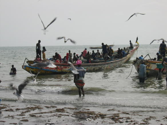 Fishing scene galleryfull-2.jpg