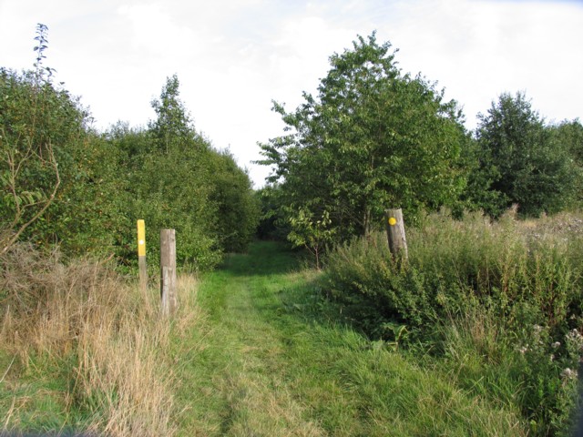 File:Follow that track - geograph.org.uk - 238801.jpg