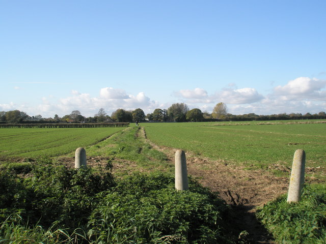 File:Footpath from Garsons Road over to Tuppeny Lane - geograph.org.uk - 1024770.jpg