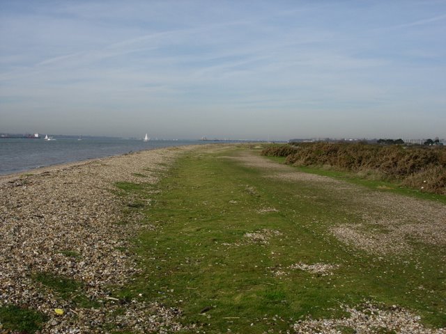 File:Foreshore and Gorse - geograph.org.uk - 328852.jpg
