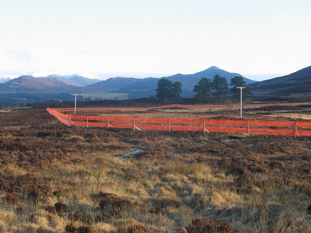 File:Forest Fence. - geograph.org.uk - 130368.jpg