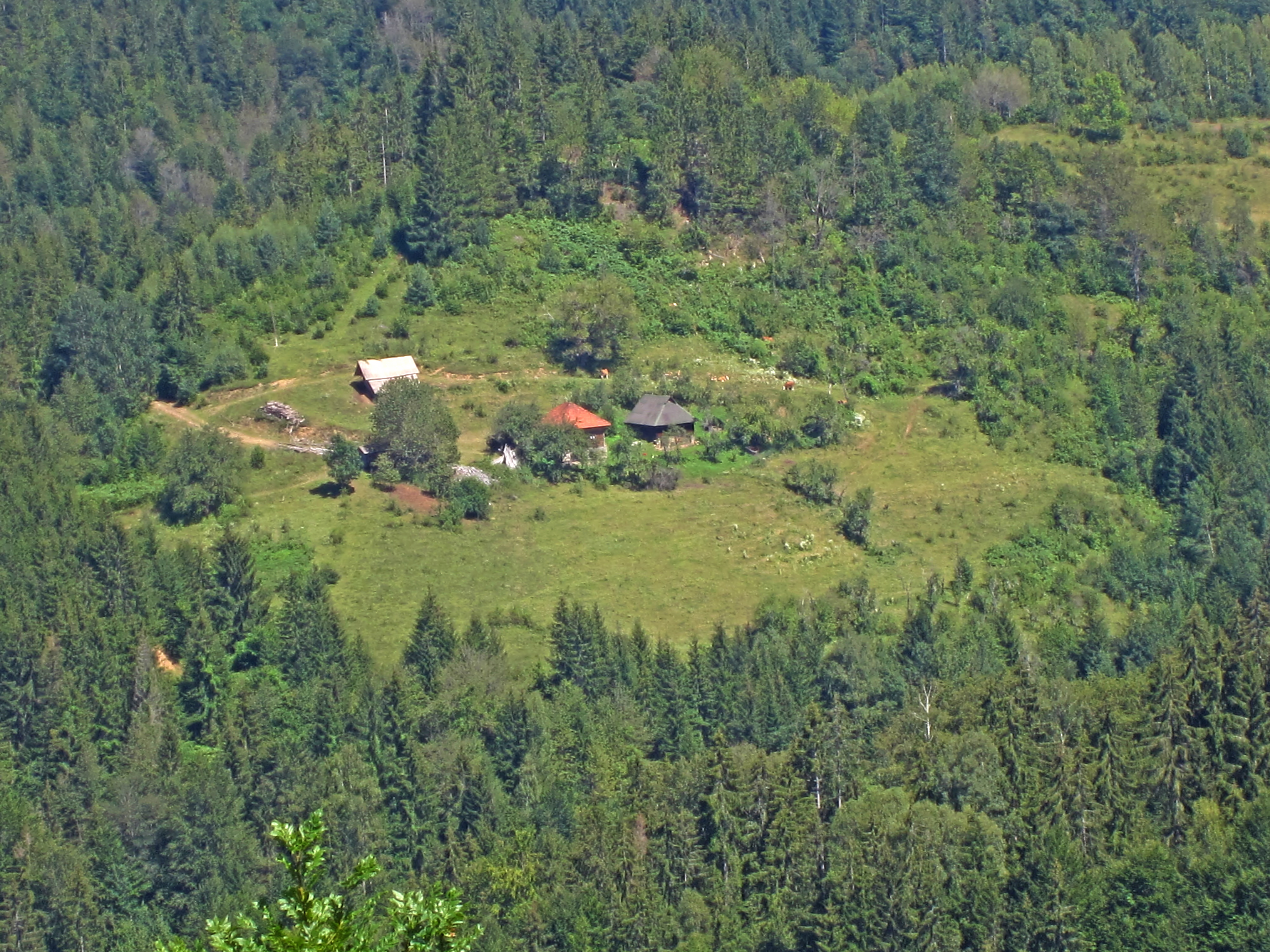 Forest meadows. Греция монастырь Давида Эвбейского. Эвбейская гора.