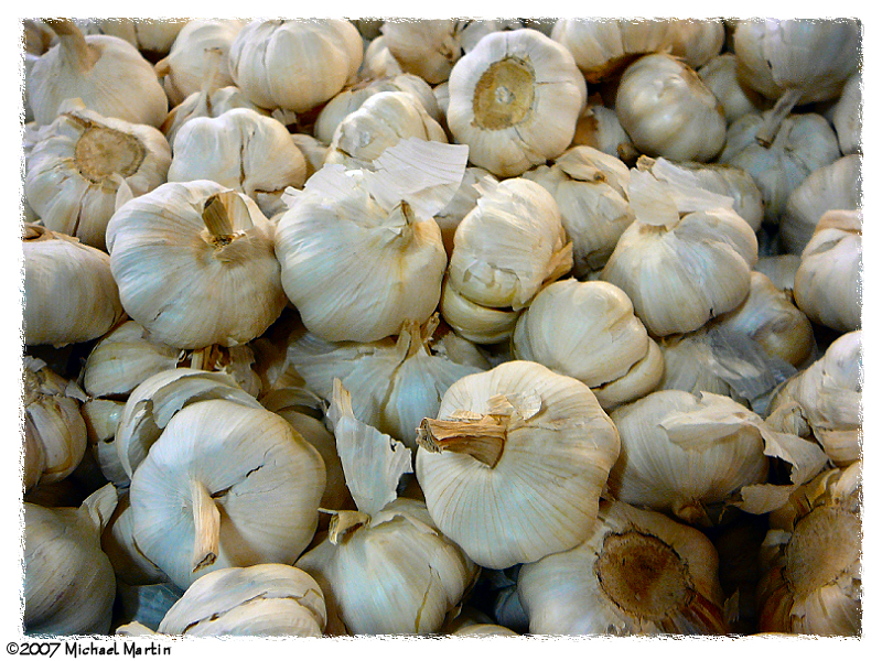 File:Garlic - Flickr - pinemikey.jpg