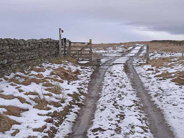 File:Gate at the head of Splitty Lane - geograph.org.uk - 1704480.jpg