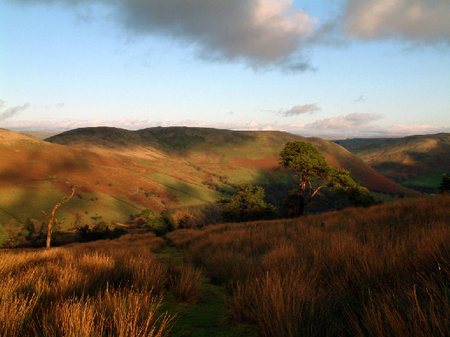 File:Grayrigg Forest above Borrowdale - geograph.org.uk - 9458.jpg