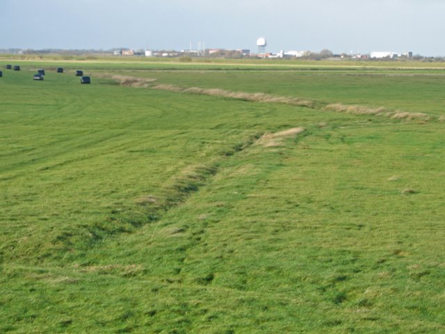 Grazing Pasture - geograph.org.uk - 1589717