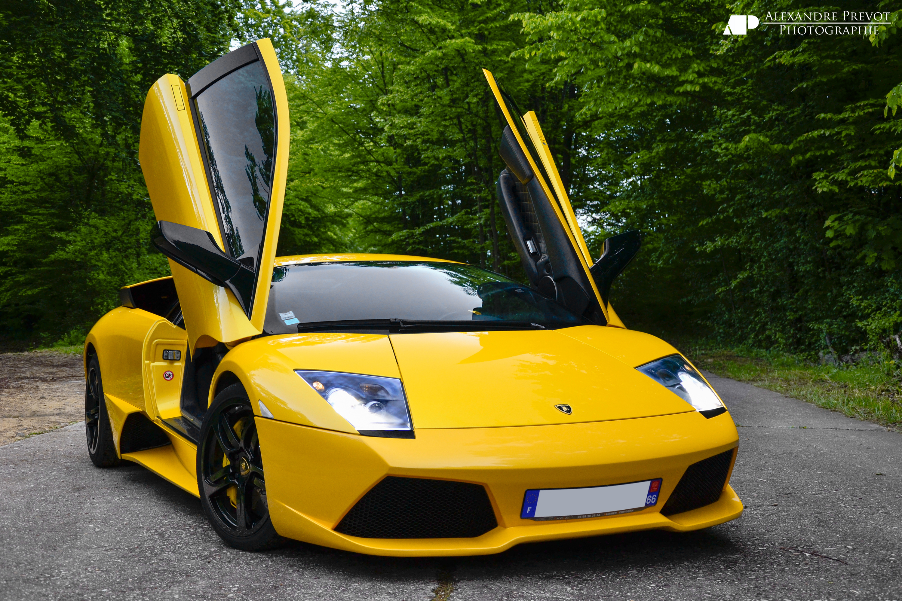 Картинки тачек. Ламборджини Мурселаго. Lamborghini Murcielago Yellow. Lamborghini Murcielago желтый. Ламборгини Мурселаго ЛП 640.