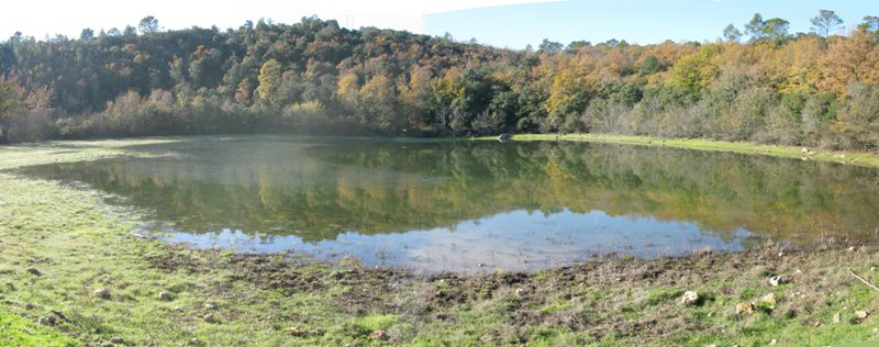 File Mare De Bonne Cougne Panorama Gonfaron 83 Xii 2008 Jpg Wikimedia Commons