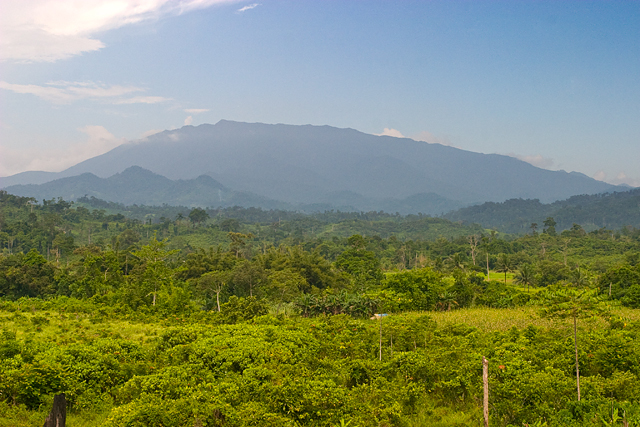 File:Mount mantalingahan palawan.jpg