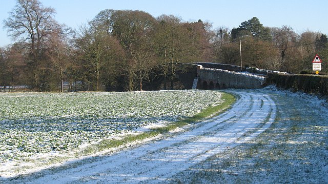 File:Oilseed rape field, Ashford Bowdler - geograph.org.uk - 1636742.jpg