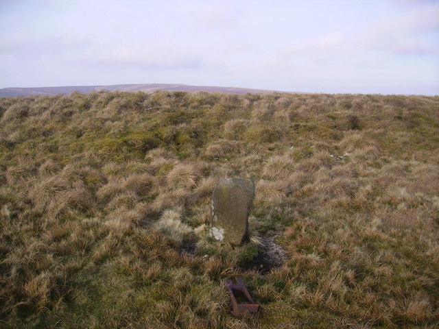 File:On Catlow Hill - geograph.org.uk - 770220.jpg