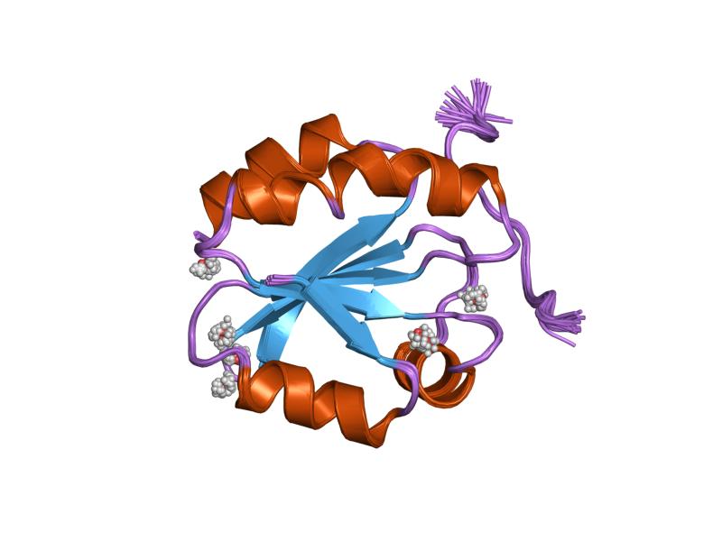 File:PDB 1mdj EBI.jpg