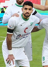 Category:Peyman Babaei - Wikimedia Commons