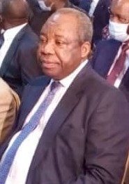 Pierre Moussa Congolese politician