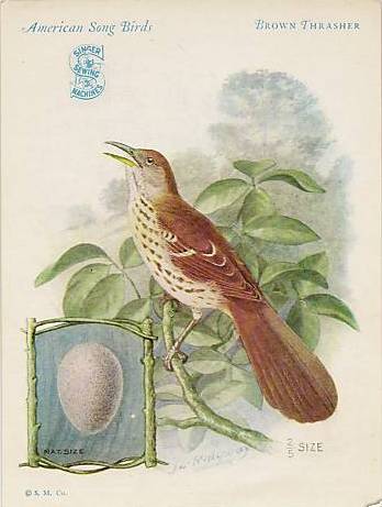 File:Singer.1920sAdvertisingCard.front.jpg