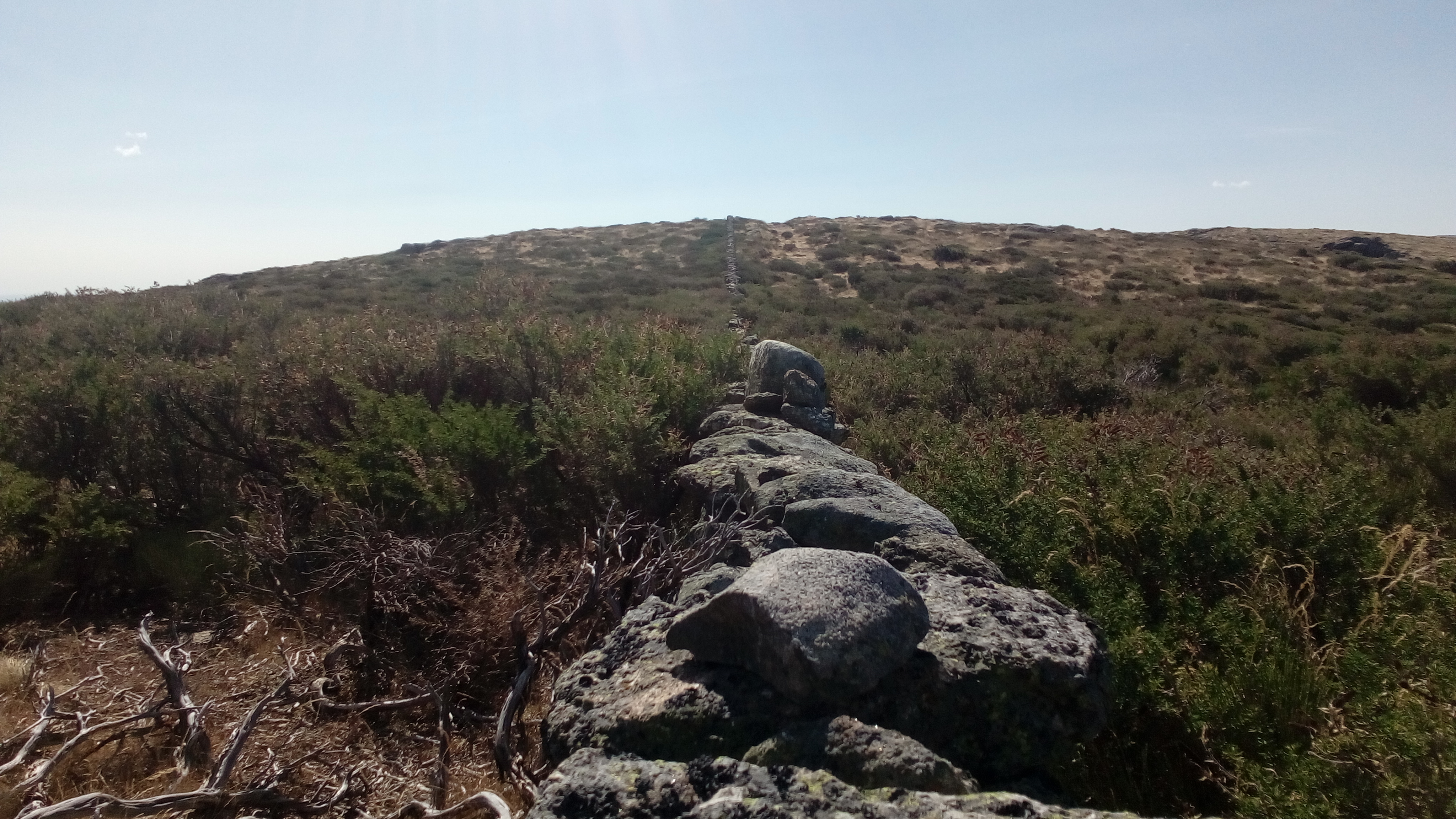 Que hacer en guadarrama