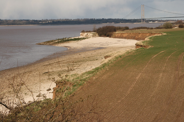 File:South Ferriby Cliff - geograph.org.uk - 736626.jpg