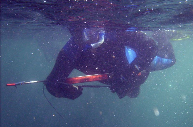 Spearfishing guns