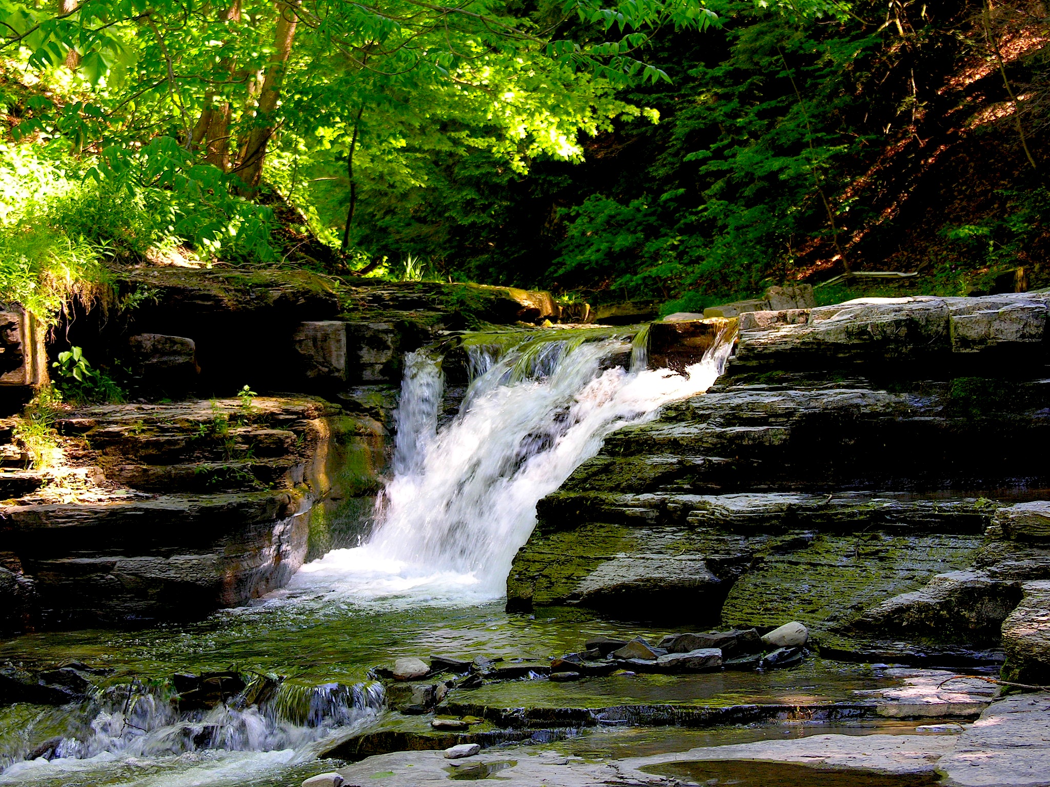 Stony Brook Attraction