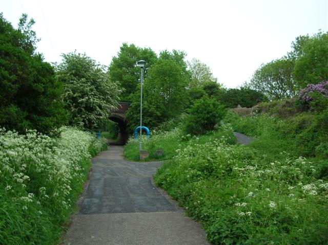 File:Sustrans Route 66 - Tang Hall - geograph.org.uk - 170029.jpg