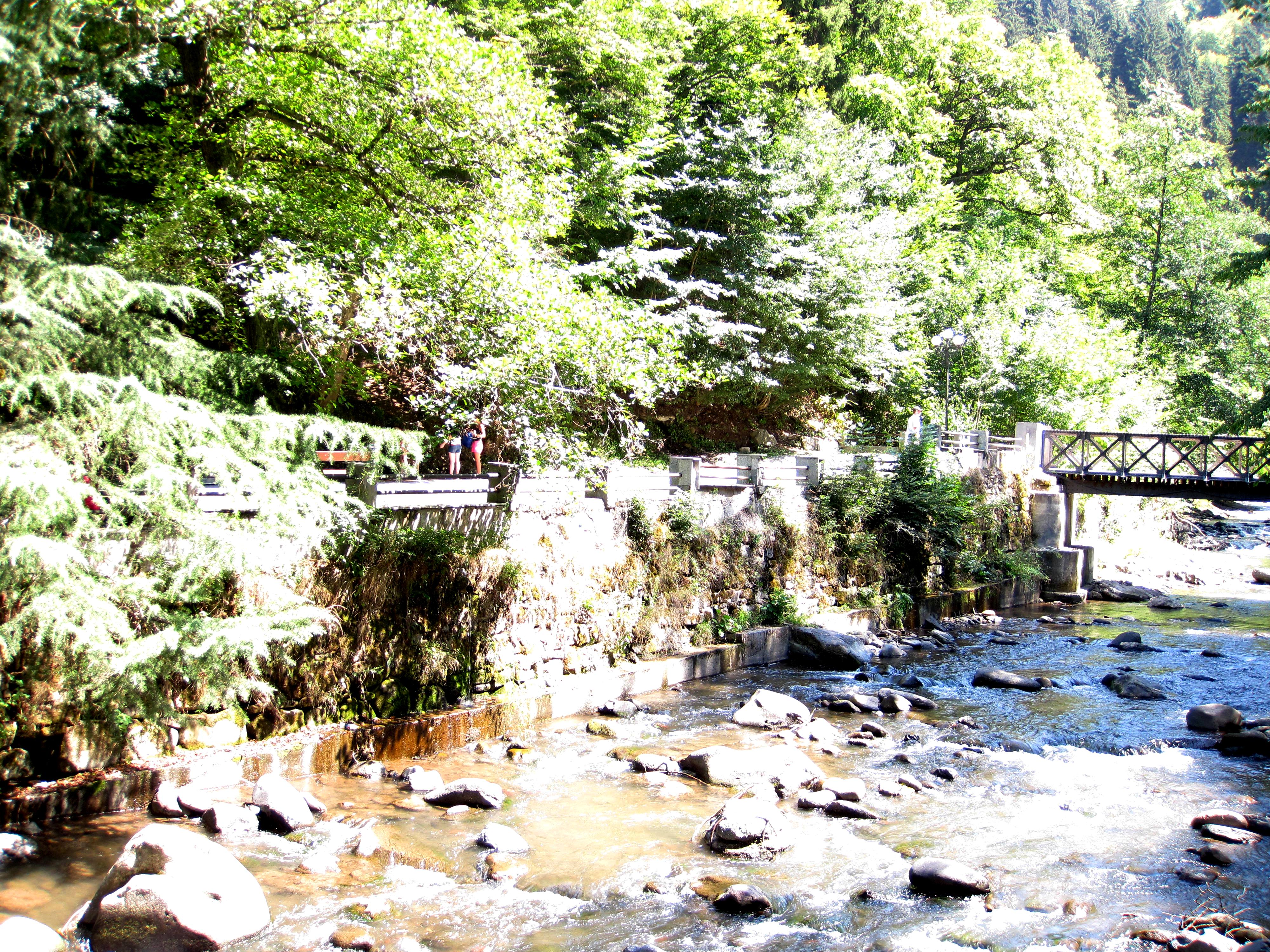 File:The Borjomula River in the Borjomi Park 2.JPG - Wikimedia Commons