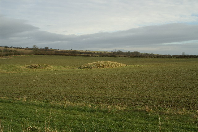 File:Tumulus - geograph.org.uk - 93536.jpg