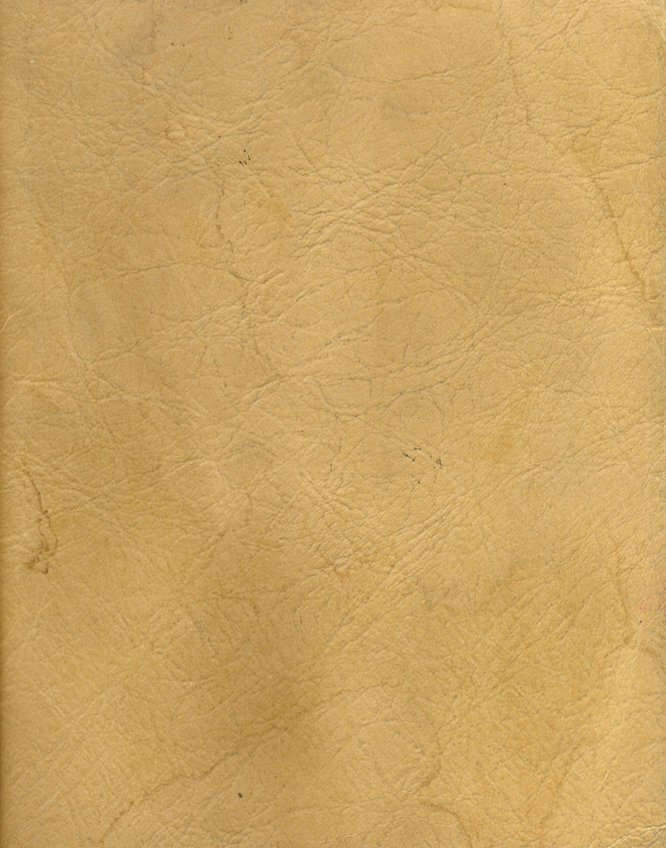 File Vintage Paper Texture Jpg Wikimedia Commons