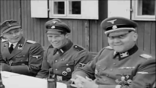 File:Waffen-SS memorial and raw footage (Denmark, 1944) Still 03833 of 14239.png