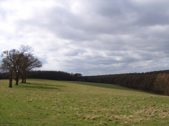 File:Above Bottom Wood - geograph.org.uk - 149966.jpg