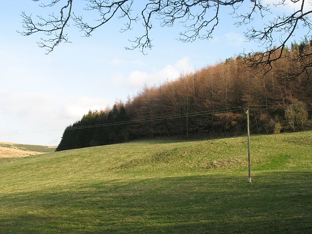 File:Ardargie Hill - geograph.org.uk - 690923.jpg