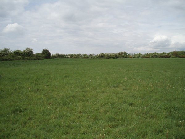 File:Ashill Common - geograph.org.uk - 433237.jpg