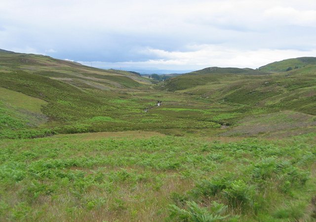 File:Buckny Burn - geograph.org.uk - 31319.jpg