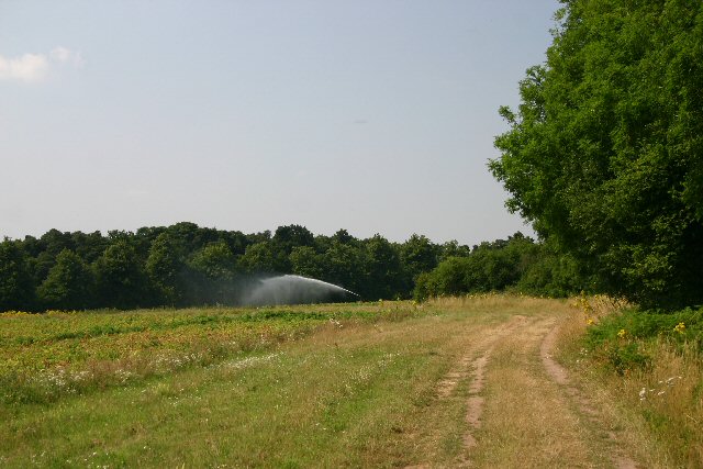 File:Byway to Euston - geograph.org.uk - 206111.jpg