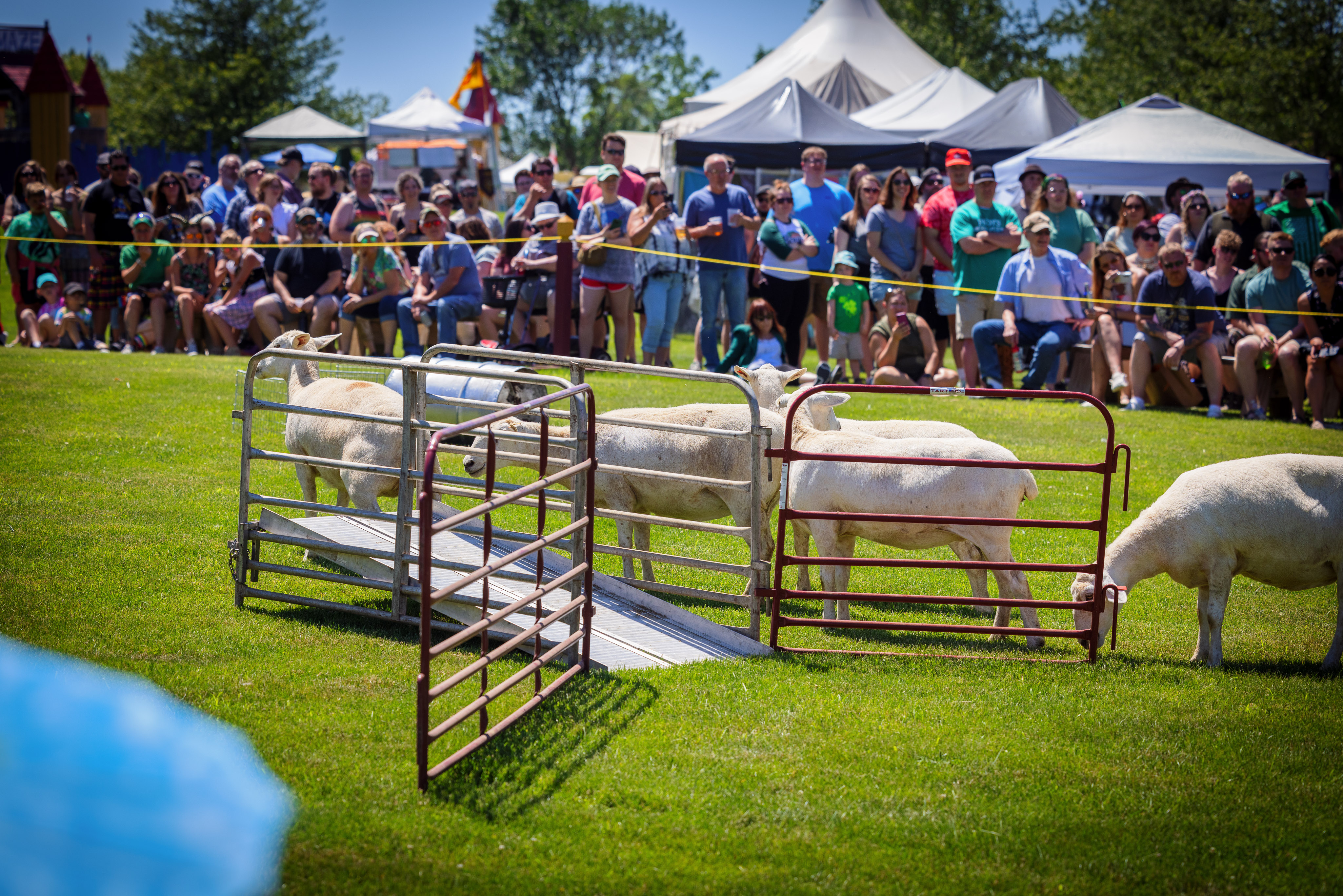 Celtic festival