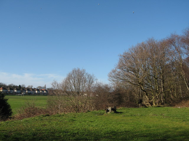 File:Childwall Playing Fields from the Trans-Pennine Way - geograph.org.uk - 338825.jpg