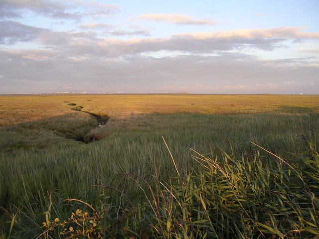 File:Creephaw Marsh, Walney Island - geograph.org.uk - 224084.jpg