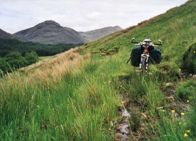 File:Disappearing path - geograph.org.uk - 19047.jpg