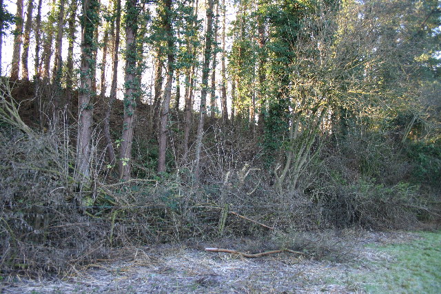 File:Disused Railway Embankment - geograph.org.uk - 114401.jpg