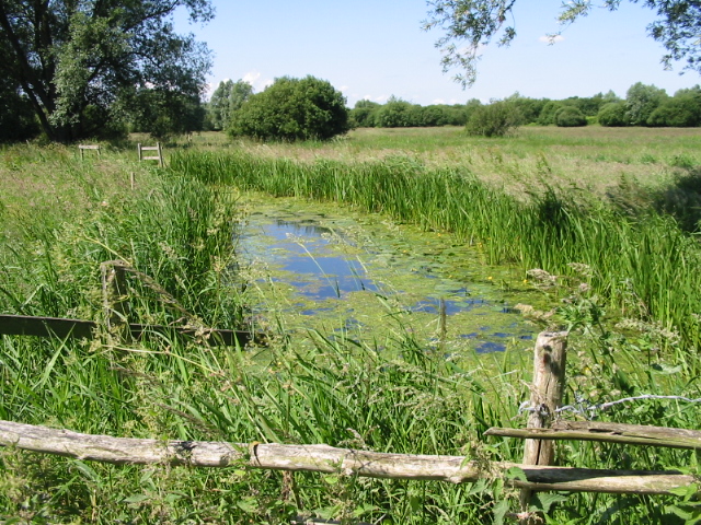 Drainage dike in the Newnham Valley - geograph.org.uk - 856778