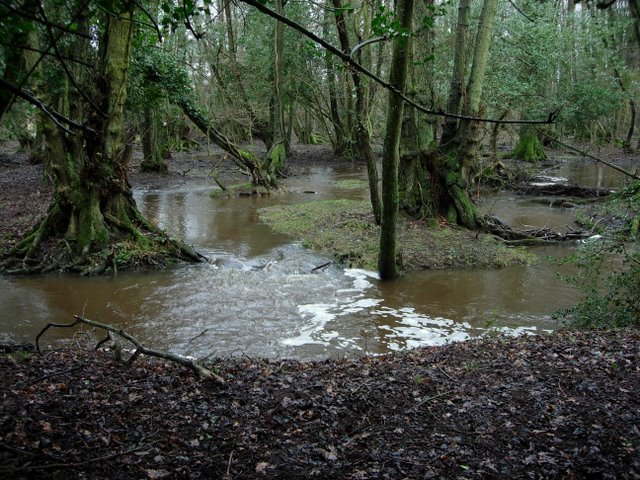 File:Extra channel - geograph.org.uk - 335146.jpg