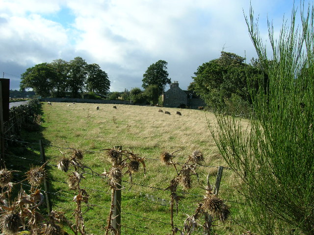 File:Farm Field - geograph.org.uk - 93679.jpg