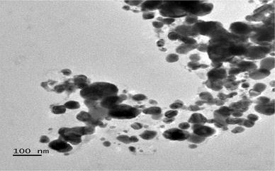 File:Fig4-Transmission-electron-microscopic-image-revealing-the-spherical-nature-of-biosynthesized-nanoparticles.jpg