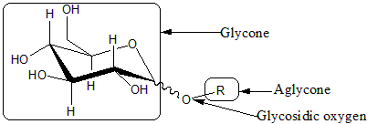 glycosidic bonds
