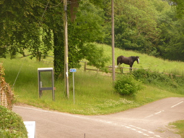 File:Littlebredy, phone box and horse - geograph.org.uk - 1354210.jpg