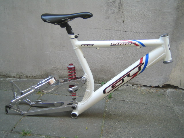 gt lobo dh