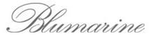 logo Blumarine.jpg