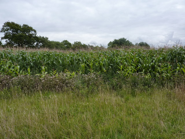 File:No Through Footpath - geograph.org.uk - 2020921.jpg