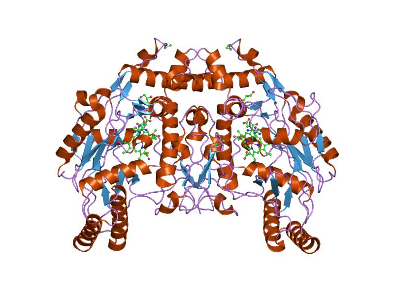 File:PDB 1dm7 EBI.jpg