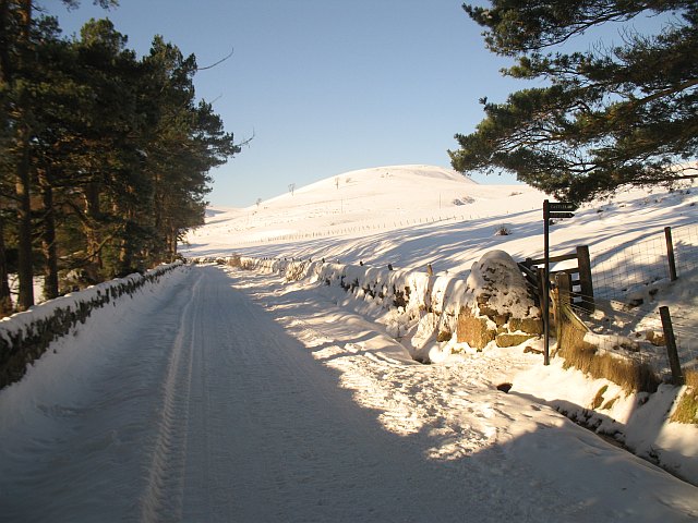 File:Path junction and machine gun fire, Glencorse - geograph.org.uk - 1653372.jpg