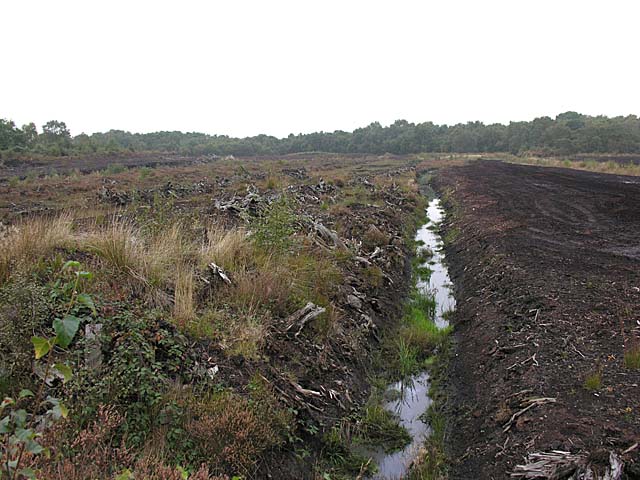 File:Peat workings - geograph.org.uk - 61802.jpg